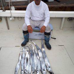 釣り船くわだ 釣果