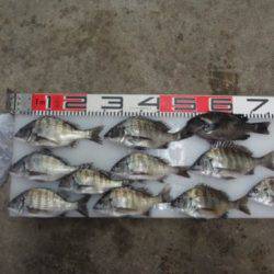 のとじま臨海公園海づりセンター 釣果