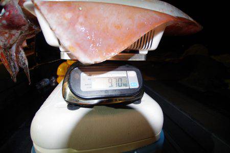 オーシャンズ　京都 釣果