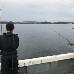 BlueOcean(ブルーオーシャン) 釣果