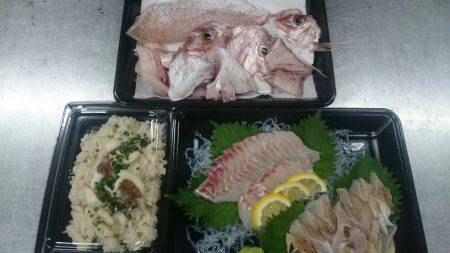 リトルワン 釣果