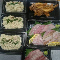 リトルワン 釣果