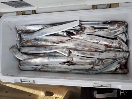 釣り船くわだ 釣果