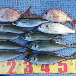 第二常豊丸 釣果