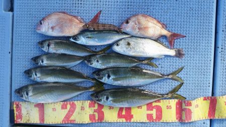 第二常豊丸 釣果