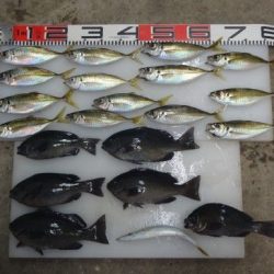 のとじま臨海公園海づりセンター 釣果