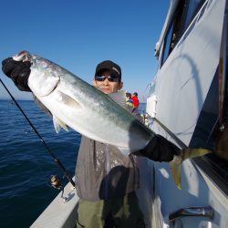 オーシャンズ　京都 釣果