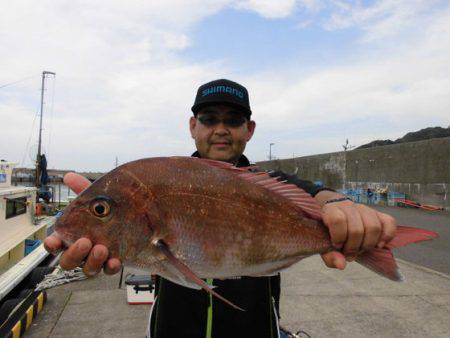 大進丸（新潟） 釣果