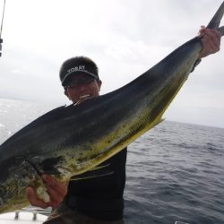 ＢｌｕｅＮｏｔｅ　Ｆｉｓｈｉｎｇ　Ｔａｘｉ 釣果