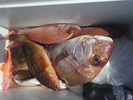 遊漁船 新鋭丸 釣果