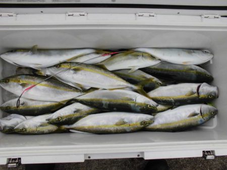 大進丸（新潟） 釣果