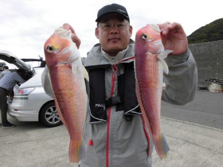 大進丸(新潟) 釣果