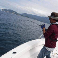 BlueNote Fishing Taxi 釣果