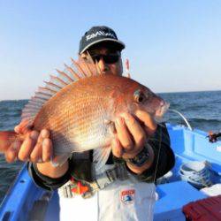 鯛紅丸 釣果