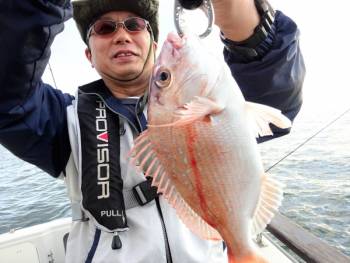 鯛紅丸 釣果