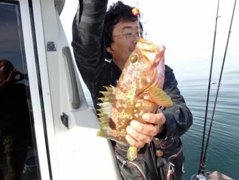 鯛紅丸 釣果
