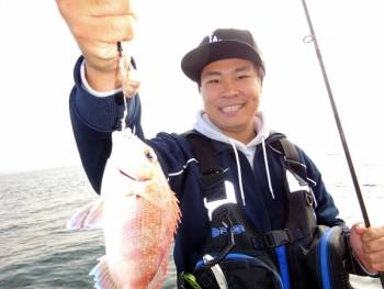 鯛紅丸 釣果