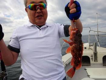 鯛紅丸 釣果