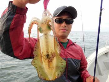 鯛紅丸 釣果