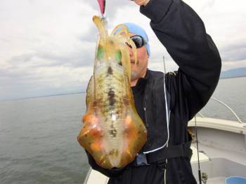 鯛紅丸 釣果
