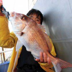 鯛紅丸 釣果