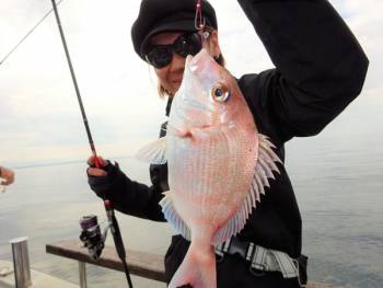 鯛紅丸 釣果