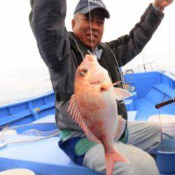 鯛紅丸 釣果