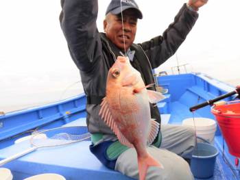 鯛紅丸 釣果