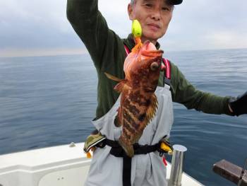 鯛紅丸 釣果