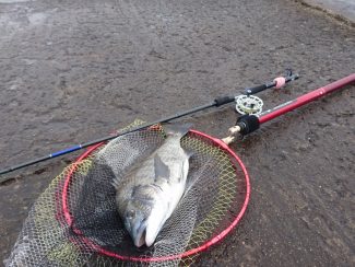 宮川丸 釣果