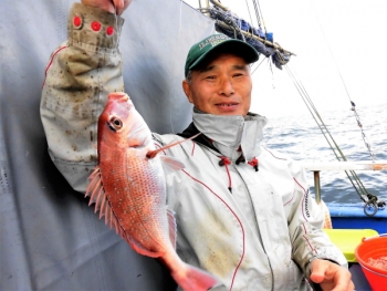 鯛紅丸 釣果