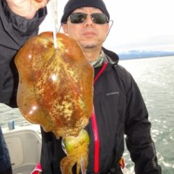 鯛紅丸 釣果