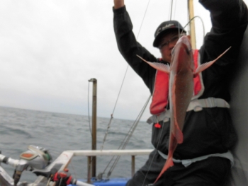 鯛紅丸 釣果