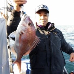 鯛紅丸 釣果