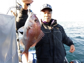 鯛紅丸 釣果