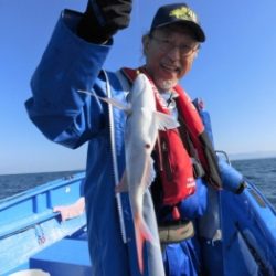 鯛紅丸 釣果