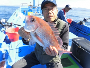 鯛紅丸 釣果