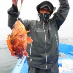 鯛紅丸 釣果