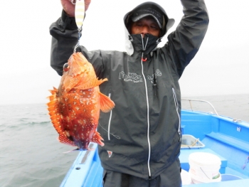 鯛紅丸 釣果