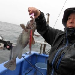 鯛紅丸 釣果