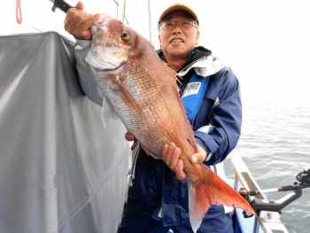 鯛紅丸 釣果