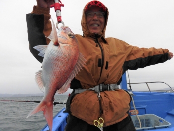 鯛紅丸 釣果