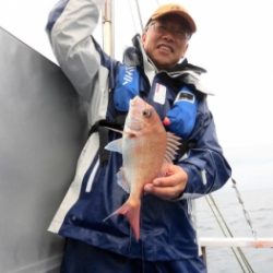 鯛紅丸 釣果