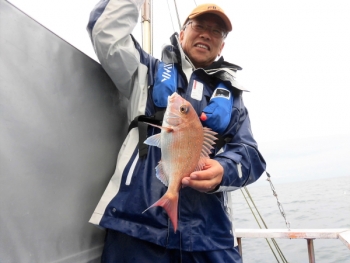 鯛紅丸 釣果