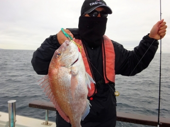 鯛紅丸 釣果