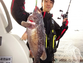 鯛紅丸 釣果