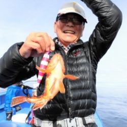 鯛紅丸 釣果