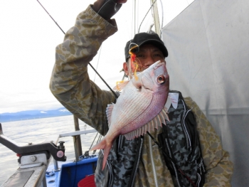 鯛紅丸 釣果