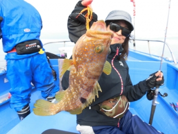 鯛紅丸 釣果