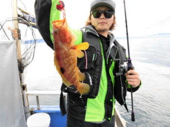 鯛紅丸 釣果